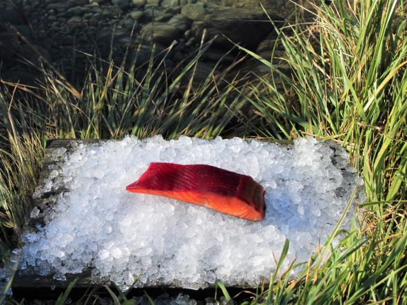 Beetroot cold smoked salmon