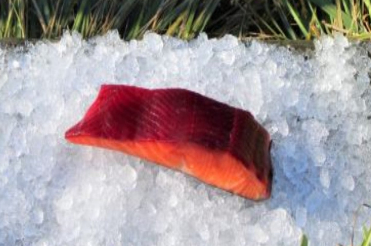 Beetroot cold smoked salmon