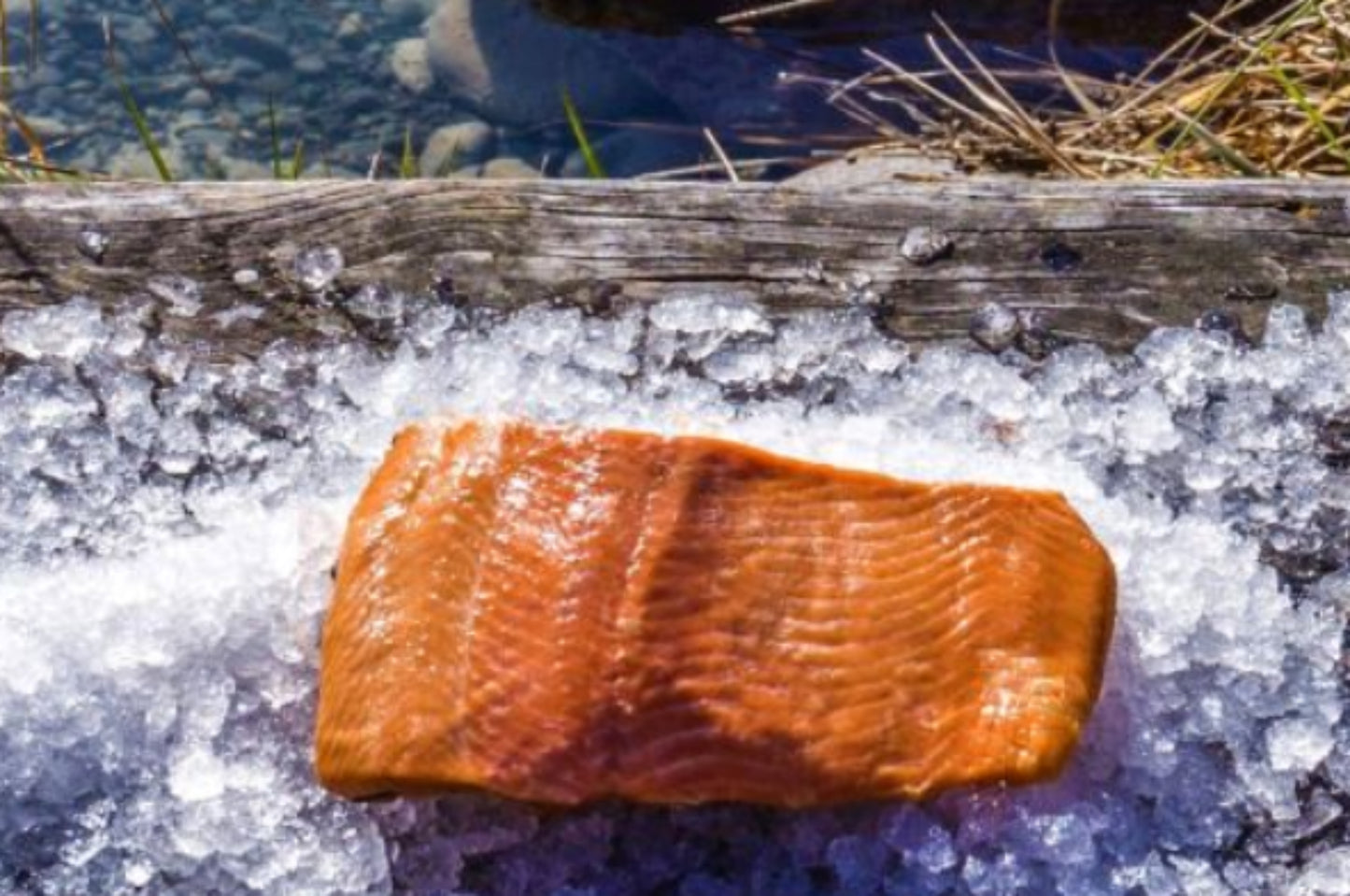 Oak hot smoked salmon