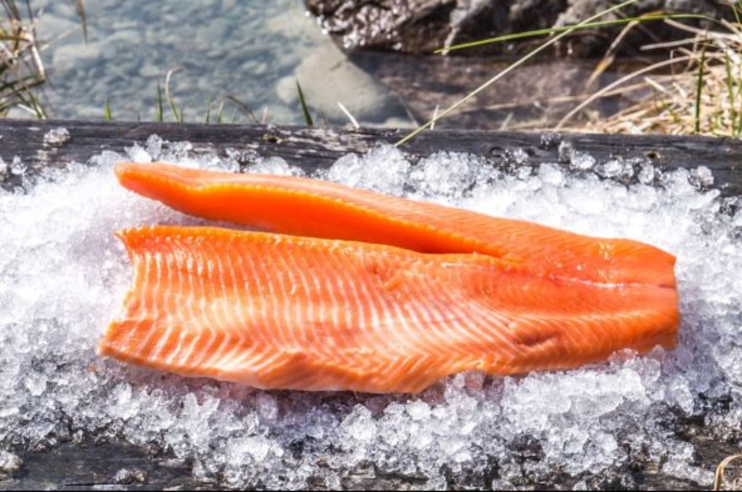Fresh sashimi fillet boneless v-cut