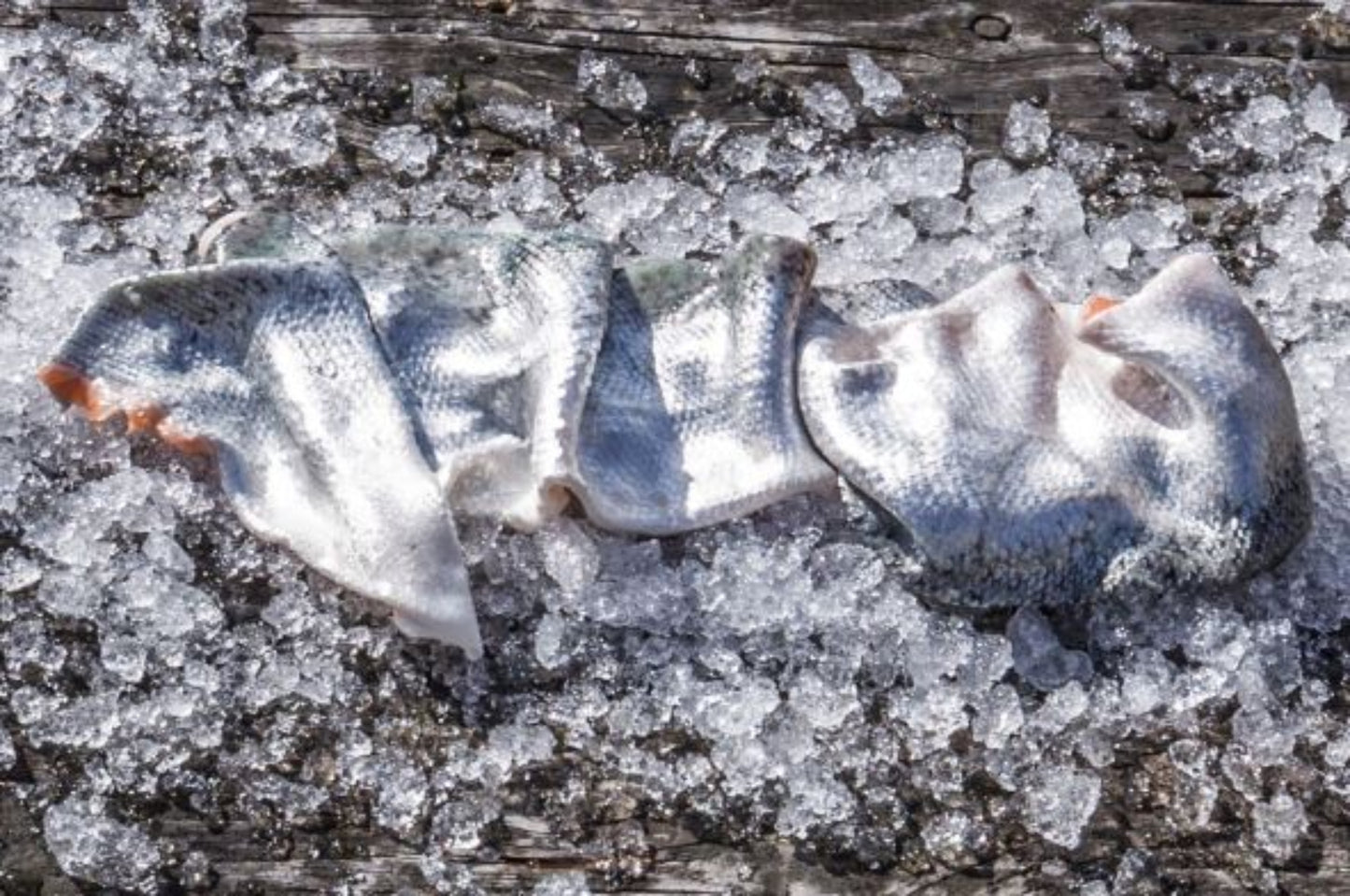 Fresh salmon skins