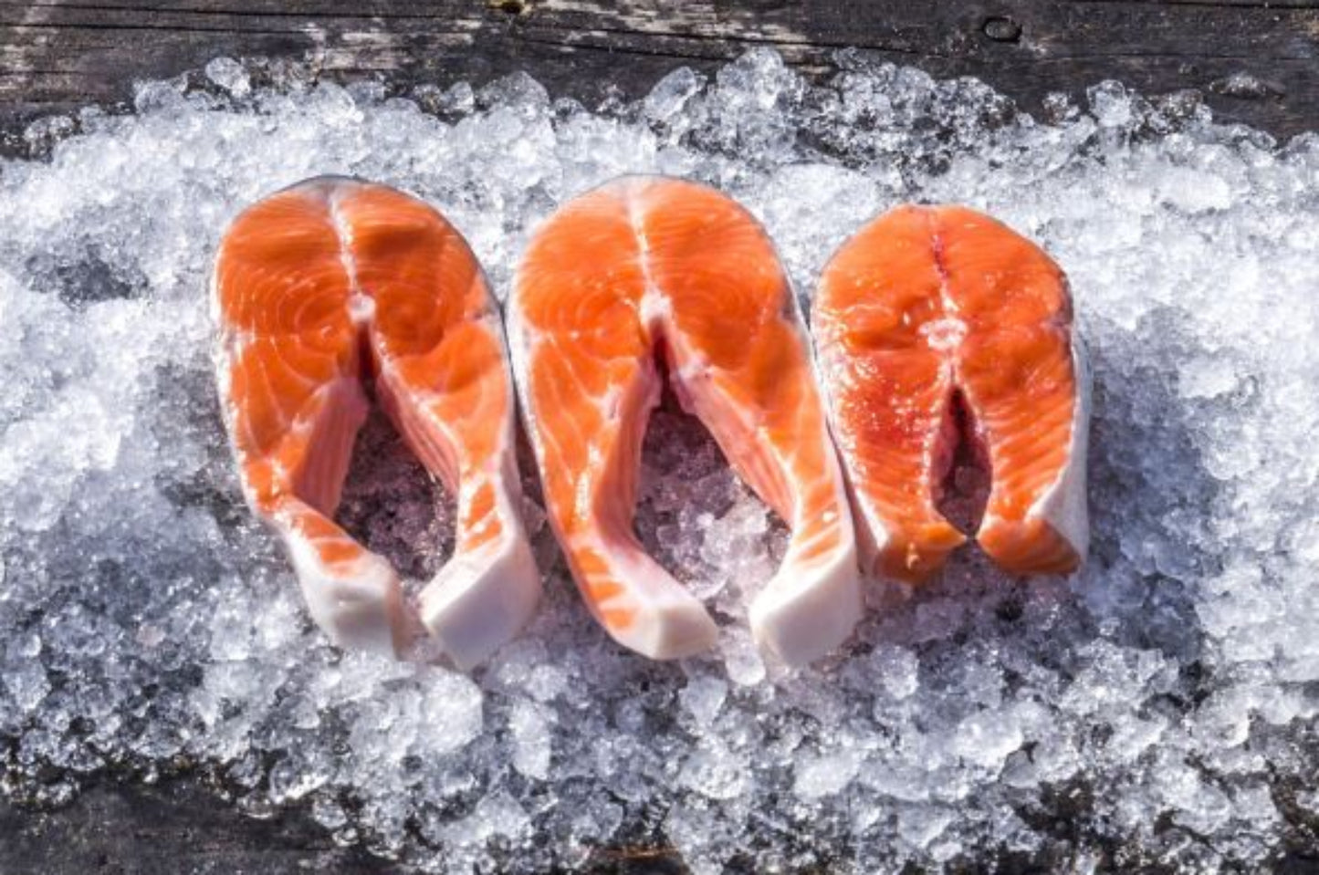 Fresh salmon steaks