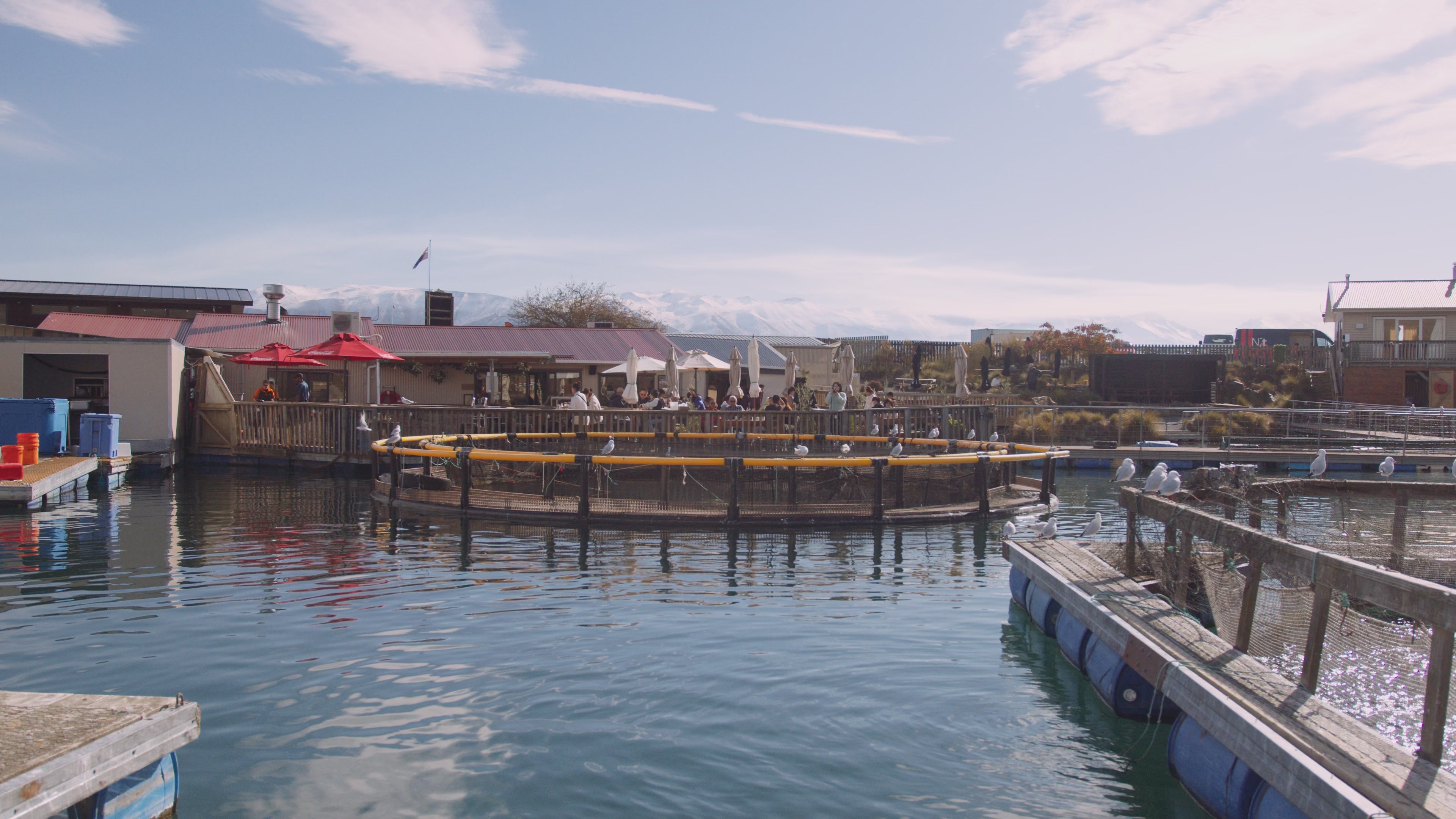 Load video: New Zealand Salmon Farm