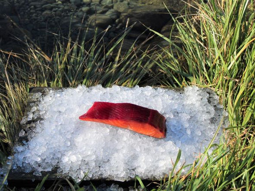 Beetroot cold smoked salmon