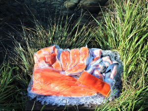 Salmon gift pack medium