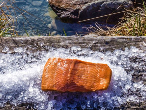 Oak hot smoked salmon